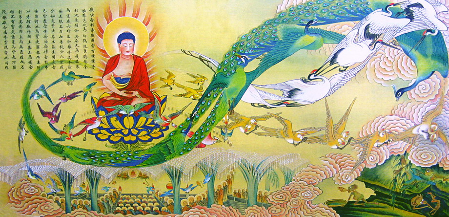 佛说阿弥陀经图解：奇妙杂色之鸟