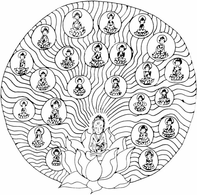 阿弥陀经感应:终睹白莲 阿弥陀经感应:终睹白莲